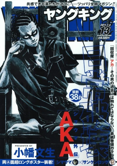 Cover of No. 13, 2011