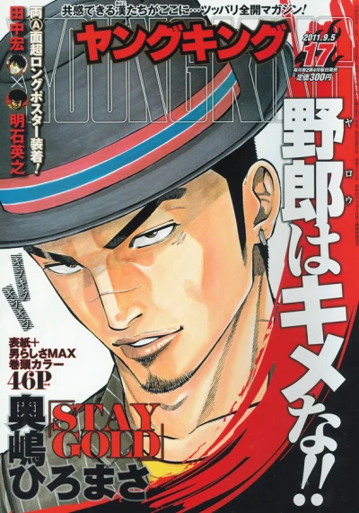 Cover of No. 17, 2011