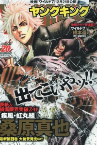 No. 20, 2011