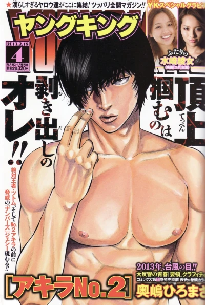 Cover of No. 4, 2013