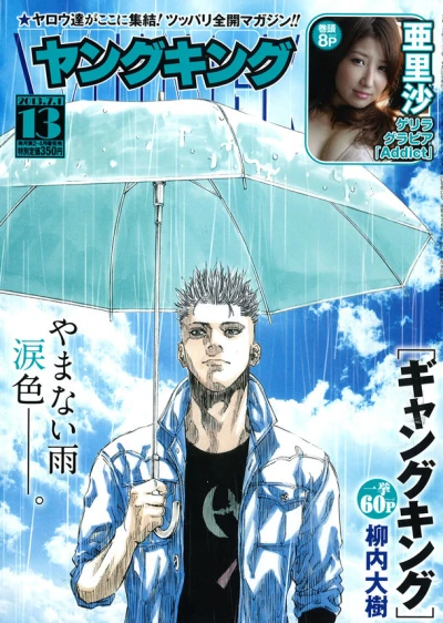 Cover of No. 13, 2013