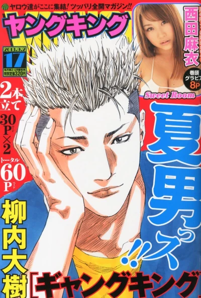 Cover of No. 17, 2013