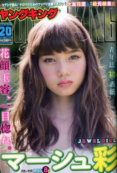 Cover of No. 20, 2016