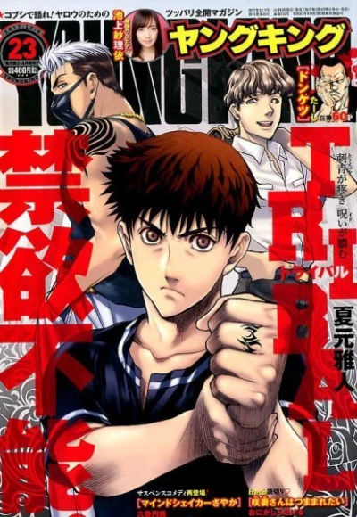 Cover of No. 23, 2017