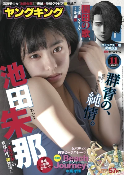 Cover of No. 11, 2020