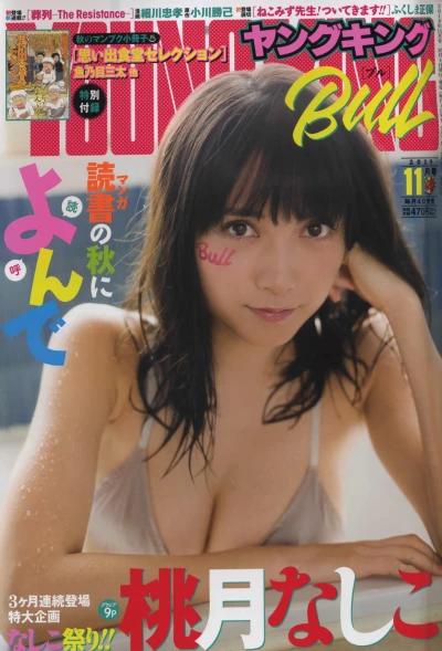 Cover of No. 11, 2019