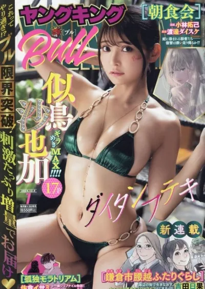 Cover of No. 7, 2024