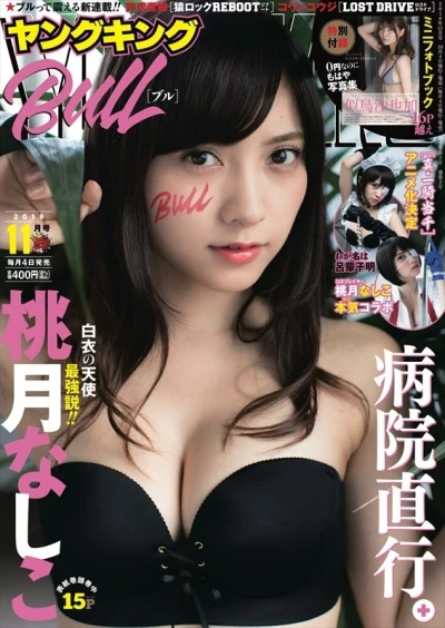Cover of No. 11, 2018