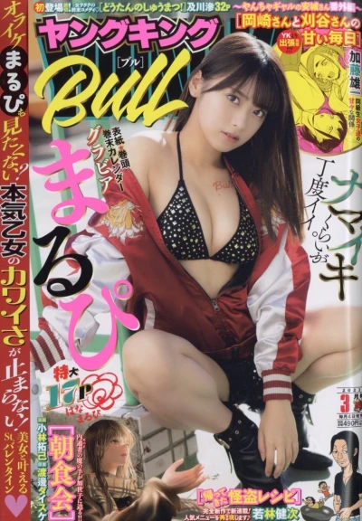 Cover of No. 3, 2023