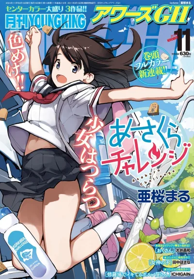 Cover of No. 11, 2024