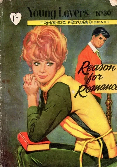 Cover of Issue #30