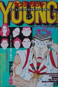 No. 17, 1987