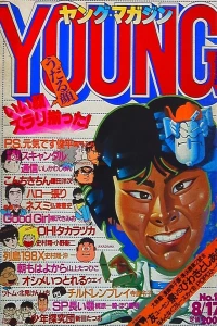No. 16, 1981