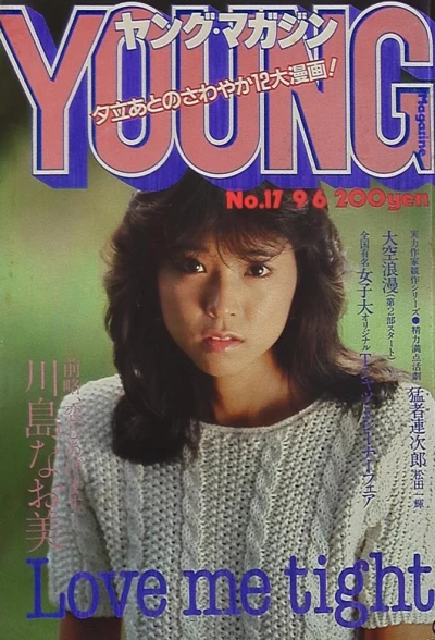 Cover of No. 17, 1982