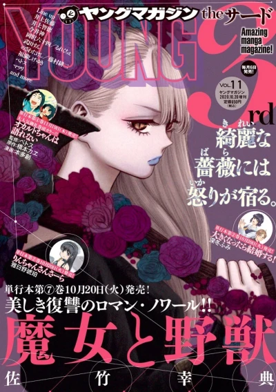 Cover of Vol. 11, 2020