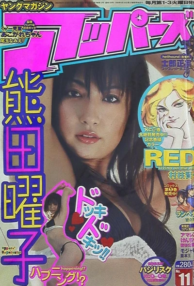 Cover of No. 11, 2004