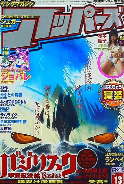 Cover of No. 13, 2004
