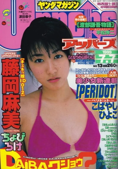 Cover of No. 13, 1999