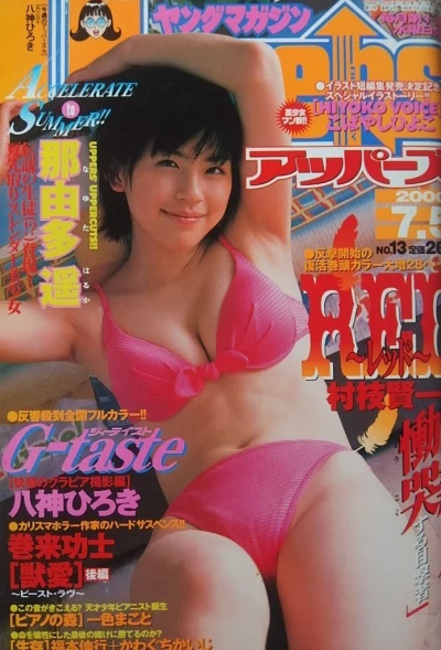 Cover of No. 13, 2000