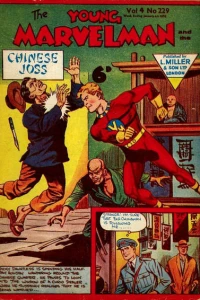 Issue #229