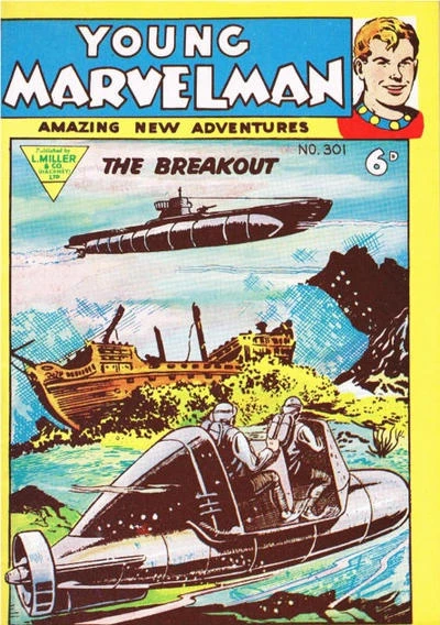 Cover of Issue #301
