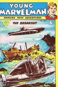 Issue #301