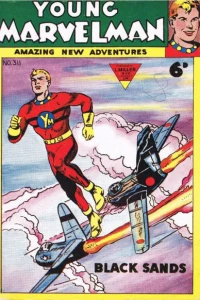 Issue #311
