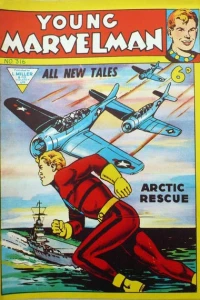 Issue #316
