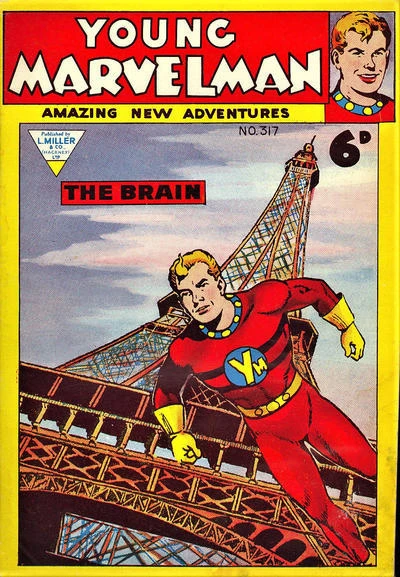 Cover of Issue #317