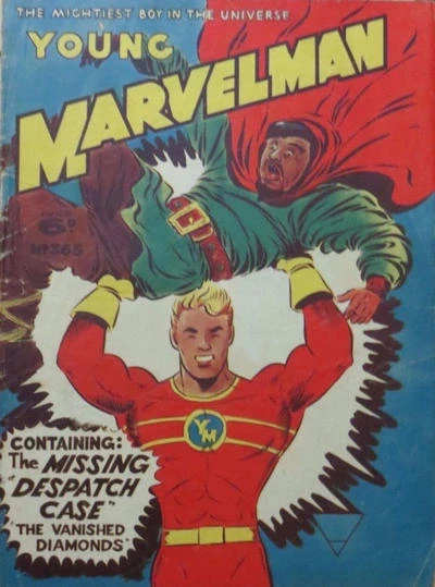 Cover of The Missing Despatch Case; The Missing Diamonds