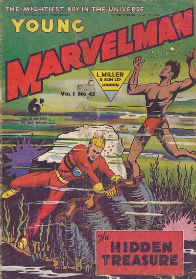 Cover of THE HIDDEN TREASURE