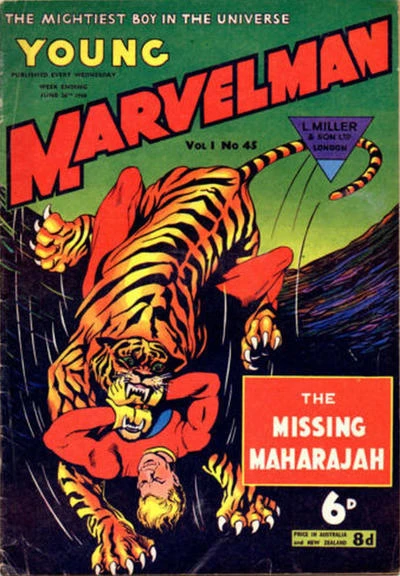 Cover of THE MISSING MAHARAHJAH