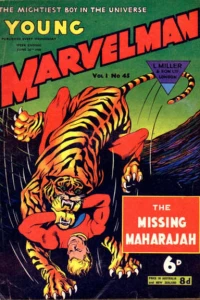 THE MISSING MAHARAHJAH