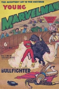 BULLFIGHTER