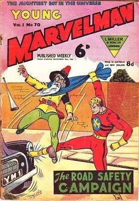 Cover of THE ROAD SAFTY CAMPAIGN