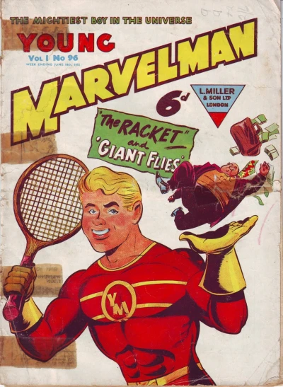 Cover of THE RACKET AND THE GIANT FLIES