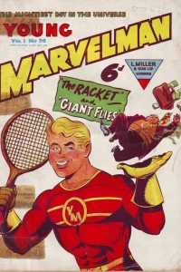 THE RACKET AND THE GIANT FLIES