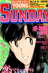 No. 11, 1988