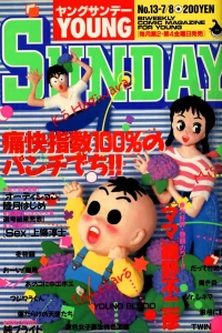 No. 13, 1988