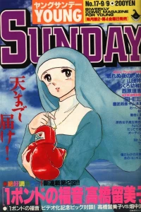 No. 17, 1988