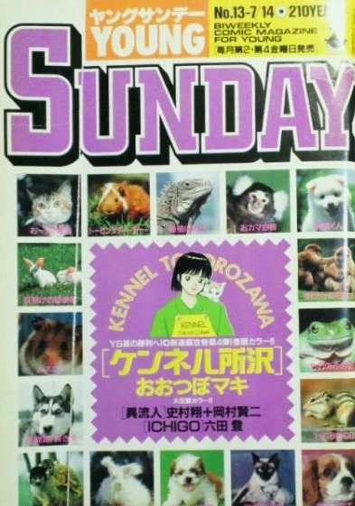 Cover of No. 13, 1989