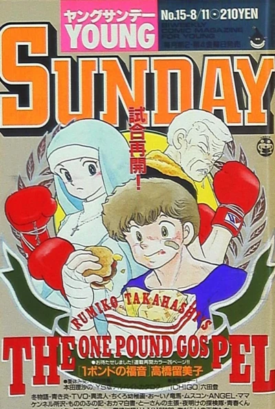 Cover of No. 15, 1989