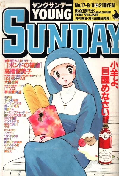 Cover of No. 17, 1989
