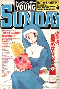 No. 17, 1989