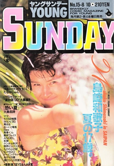 Cover of No. 15, 1990