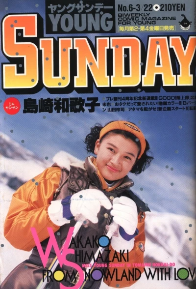 Cover of No. 6, 1991