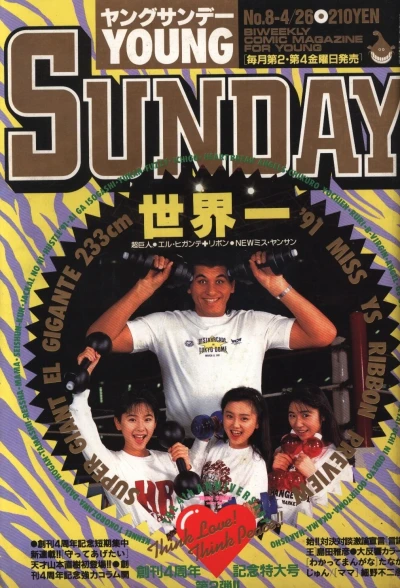 Cover of No. 8, 1991