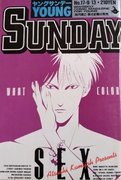 Cover of No. 17, 1991