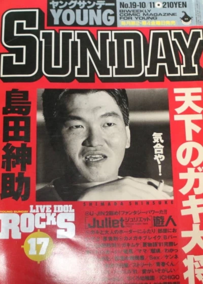 Cover of No. 19, 1991