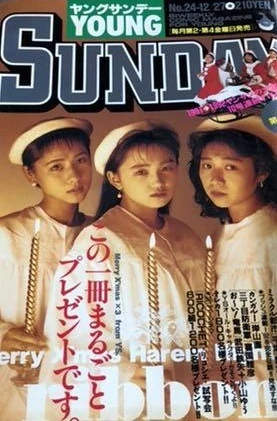 Cover of No. 24, 1991